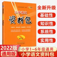 2021版1-6年级小学语文资料包数学英语小升初复习名师推荐 资料包语文