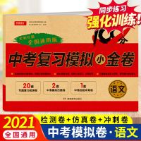 2021版中考真题模拟试卷初中总复习资料中考必刷题全套语数英物化 语文