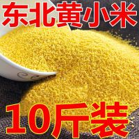 东北杂粮农家小米新米 黄小米宝宝吃的小黄米粥月子米10斤装 10斤装
