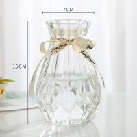创意花瓶玻璃透明水养客厅摆件鲜花插花瓶北欧简约富贵竹干花花瓶 15CM新诺透明特价1个