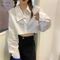 春秋款女装时尚阔腿裤套装小个子显高设计感衬衫马甲三件套/单件 短款衬衣 S