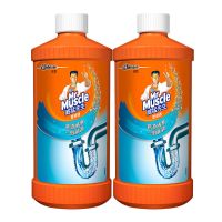 威猛先生洁厕块洁厕灵马桶清洁剂洁厕宝蓝泡泡 马桶清洁除菌杀菌 管道疏通剂2瓶+清洁刷