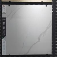 佛山地砖800x800 客厅防滑地板砖灰色通体大理石瓷砖邻袖阿波罗 欧领8919-1 800X800