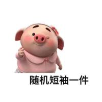 日系古着polo衫长袖T恤女春秋宽松韩版ins慵懒风薄款waitmore上衣 随机一件T M