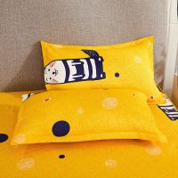 特价 枕套加大48*74一对装枕芯套单人枕头套成人家用学生套装整皮 小地鼠 48*74cm枕套[一只装]