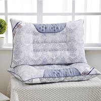 枕头芯送枕套决明子枕芯一对装护颈椎成人单人枕头学生家用枕套装 乳白枕芯+枕套一只装