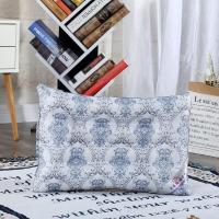 枕头枕芯一对决明子枕头成人护颈椎枕单人荞麦枕学生家用枕头套装 青花瓷枕头[无决明子] 一只装