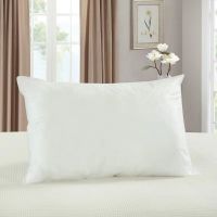 枕芯一对送枕套一对 带拉链可拆洗枕头芯一只 成人单人枕套装 白色枕芯1个(不含枕套)