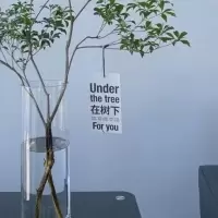 天然精选鲜切枝马醉木水养植物懒人办公室桌摆绿植室内装饰物 在树下卡片俩张
