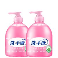 香水洗手液按压瓶500g补充装芦荟家用洗手液香味洗手液杀菌消毒 芦荟洗手液买1送1[共2瓶]推荐