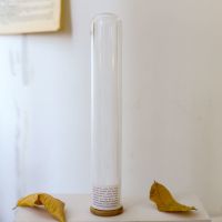 玻璃试管干花满天星永生花摆件尤加利叶家居装饰标本植物客厅摆设 空试管