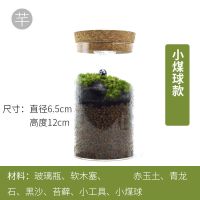 手工diy苔藓微景观植物生态瓶奇趣绿植创意手工DIY桌面绿植摆件 小煤球