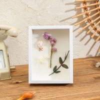 干花相框diy摆台贝壳蝴蝶标本制作展示画框立体中空手工标本相框 白色(立体中空3cm 不含植物标本) 6寸(10.1*1