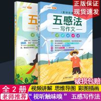 五感法写作文方法技巧素材积累小学生三四五六年级上下册思维导图 五感写作法全二册