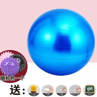 瑜伽球加厚成人防爆健身球儿童宝宝感统训练球按摩平衡球送打气筒 光面款[加厚防爆]蓝 45cm[身高150以下]
