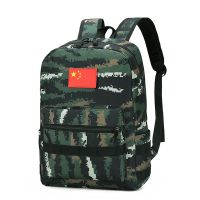 新款旅游户外登山夏令营猎人虎斑迷彩背包春游男孩小学生双肩书包 虎斑迷彩