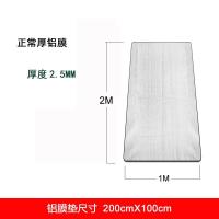 双面铝膜防潮垫野餐垫双人加厚多人沙滩垫野营帐篷地垫野餐垫 普通款:整张1X2米(有收纳袋)