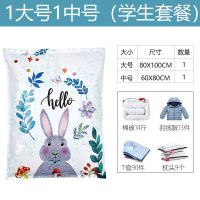 压齐力真空压缩袋收纳袋10只装衣物棉被棉袄配手电泵特大号中小号 1个大号1个中号(学生套餐) 配手泵抽气