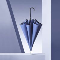 8骨长弯柄日本原创小清新复古森系防晒遮阳伞女学生文艺自动雨伞 8骨黑皮弯柄雾霾蓝(无胶)