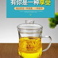 轻奢家用玻璃水具套装客厅套杯喝水杯子茶具杯具茶杯水壶水杯待客 美体单杯无盖漏