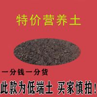 营养通用型土壤种花种菜育苗卉绿植多肉绿萝君子兰园艺花肥土特价 特价普通冲量土10斤 限购1个