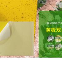 黄板粘虫板诱虫板双面覆膜杀蚜虫粉虱蓟马果蝇小飞虫绿植园林除虫 黄25cm*20cm[双面覆膜] 20张