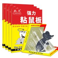 老鼠贴强力灭鼠粘鼠板灭鼠魔毯老鼠一窝端抓老鼠家用驱鼠神器 1小张粘鼠板[破损库存]