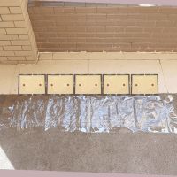 老鼠贴粘鼠板强力神器灭鼠莫汤老鼠板老鼠夹家用灭老鼠胶 1.2M灭鼠魔毯1张[透明]