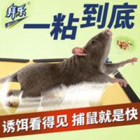 拜乐老鼠粘强力粘鼠板超强力粘大老鼠贴胶灭捕驱鼠神器家用一窝端 拜乐老鼠粘强力粘鼠板超强力粘大老鼠贴胶灭捕驱鼠神器家用一窝