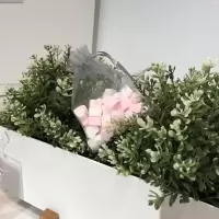 香包袋香薰石膏爱心香包橱柜衣柜车内去味留香 30粒小包 无香