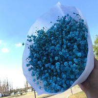 云南满天星干花真花束礼物小清新摆件客厅摆设卧室装饰带永生花瓶 蓝色满天星 mini 黑袋满天星