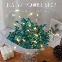 ins风干花送闺蜜女友朋友情人节礼物满天星花束七夕装饰拍照道具 湖蓝水晶草(送灯可代写贺卡)