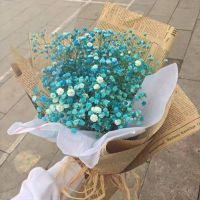 满天星干花花束带包装送人手捧花女友同学闺蜜生日七夕情人节礼物 蓝色+白色满天星精美花束送礼袋