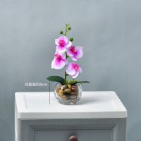 蝴蝶兰仿真花套装PU手感塑料花假花盆栽客厅餐桌室内装饰插花摆件 南瓜玻璃缸+ 4头蝴蝶兰红心白 [加厚包装箱]