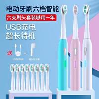 铂瑞电动牙刷全自动USB充电式声波牙刷成人男士女士防水款 电动牙刷(蓝粉白可选颜色)