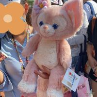 [新品直营]迪士尼上海迪士尼乐园 经典款毛绒公仔娃娃玩偶玲娜贝儿公仔