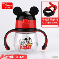 迪士尼(Disney)儿童水杯 宝宝学饮杯 吸管杯 儿童水壶 婴儿水杯 防漏背带手柄两用水壶