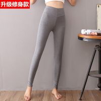 棉秋裤女单件薄款内穿紧身外穿保暖裤韩版高腰加厚线裤衬裤学生