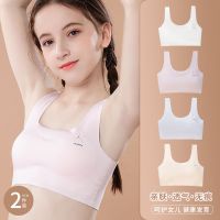 学生发育期小背心少女内衣12-16岁初中生二阶段大童女童无痕文胸
