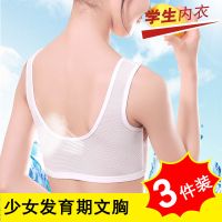 发育期小背心11-12-13-15岁初中小学生女孩棉文胸大童少女内衣