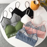 70-180斤美背运动内衣女文胸无钢圈聚拢抹胸吊带裹胸防走光打底