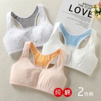 发育期小背心10-13-15岁初中小学生女孩棉文胸大童少女运动内衣