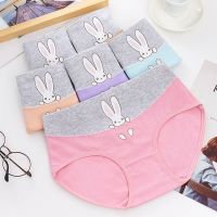 3/4条装 棉内裤女学生中腰韩版初中生少女可爱大码女生短底裤衩