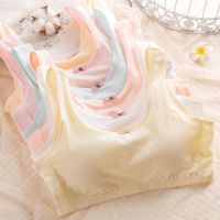 4色 少女发育期文胸初高中学生少文胸棉大童女内衣抹胸女