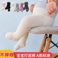 婴儿打底裤春秋棉薄款ins连裤袜女宝宝袜子大pp儿童连体袜外穿
