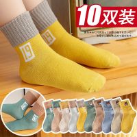 春秋款儿童袜子男女童防臭小童中筒袜学生中大童宝宝小孩袜子