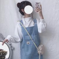 两件套新款学院风灯芯绒背带连衣裙子女内搭打底针织衫套装