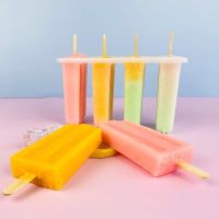 雪糕模具diy冰淇淋冰棒模自制冰棍冰块冰糕棒冰磨具制冰盒