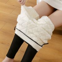 蚕丝裤加绒加厚打底裤冬季高腰保暖厚棉裤罗马布外穿一体裤女