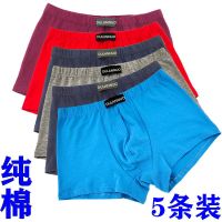棉男士内裤平角透气四角色全棉内裤吸汗性感宽松底裤头裤衩